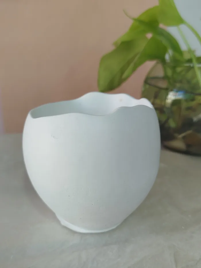 Cuenco forma huevo 2