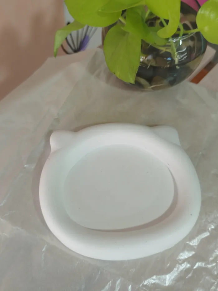 Bandeja 🐱 14 x 12 2