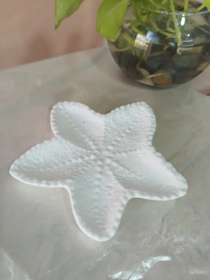 Despojador estrella mar  2