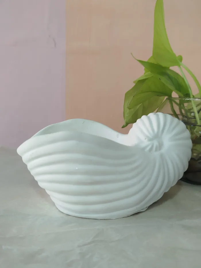 Caracola grande 9cm 2