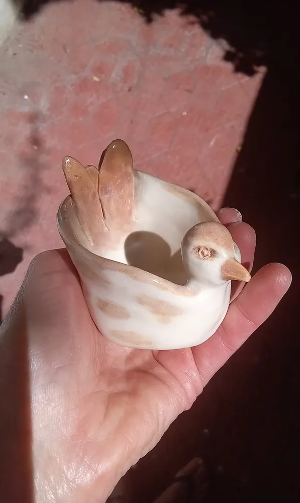 Galeria de imagenes 1