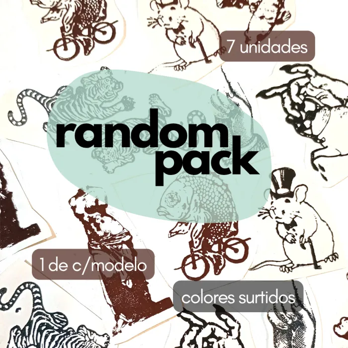 TRANSFERS RANDOM 12 unidades colores surtidos