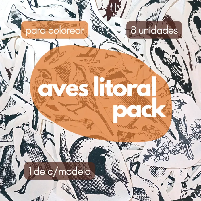 TRANSFERS AVES LITORAL 8 unidades para colorear!