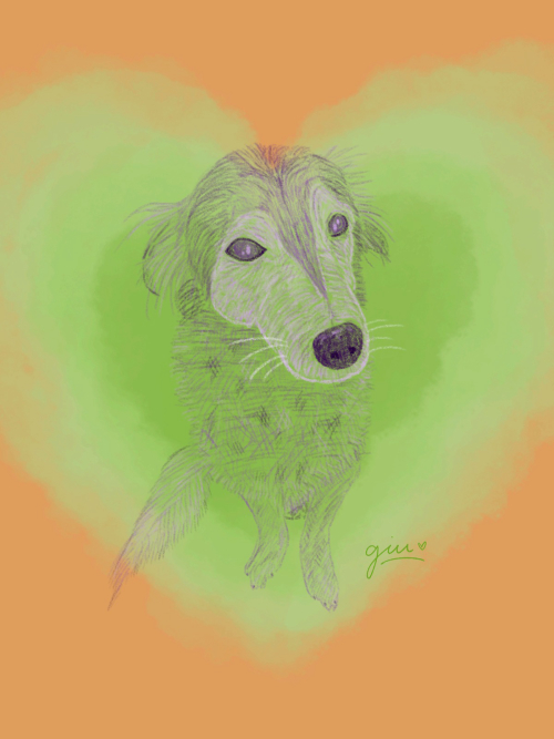 Retrato / ilustración ENTREGA FÍSICA o DIGITAL 2