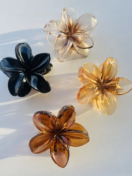 Broches XL✨