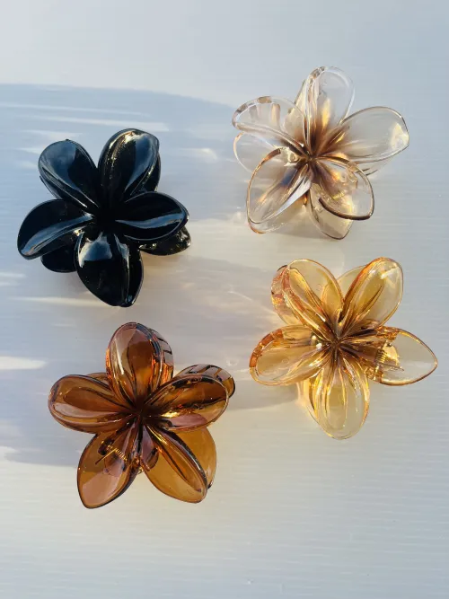 Broches XL✨ 2