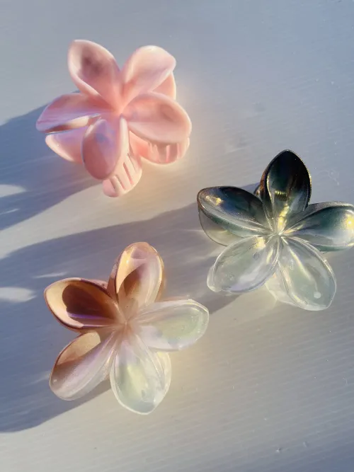 Broches XL✨ 3