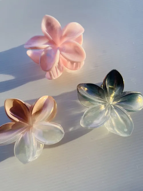 Broches XL✨ 4