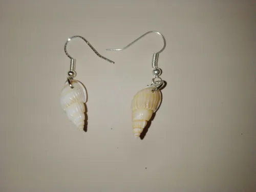 Aros de corales