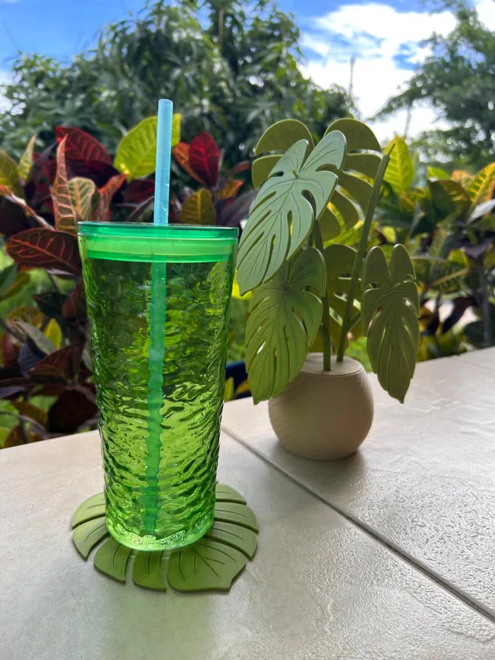 Posavasos Monstera 2