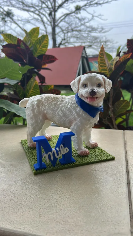 Memorials de Mascotas 2