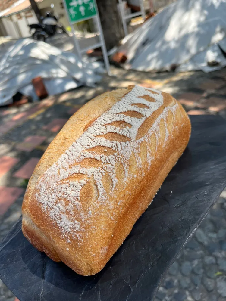 MASA MADRE TRADICIONAL