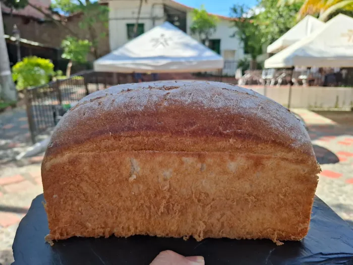 Pan Masa Madre Brioche