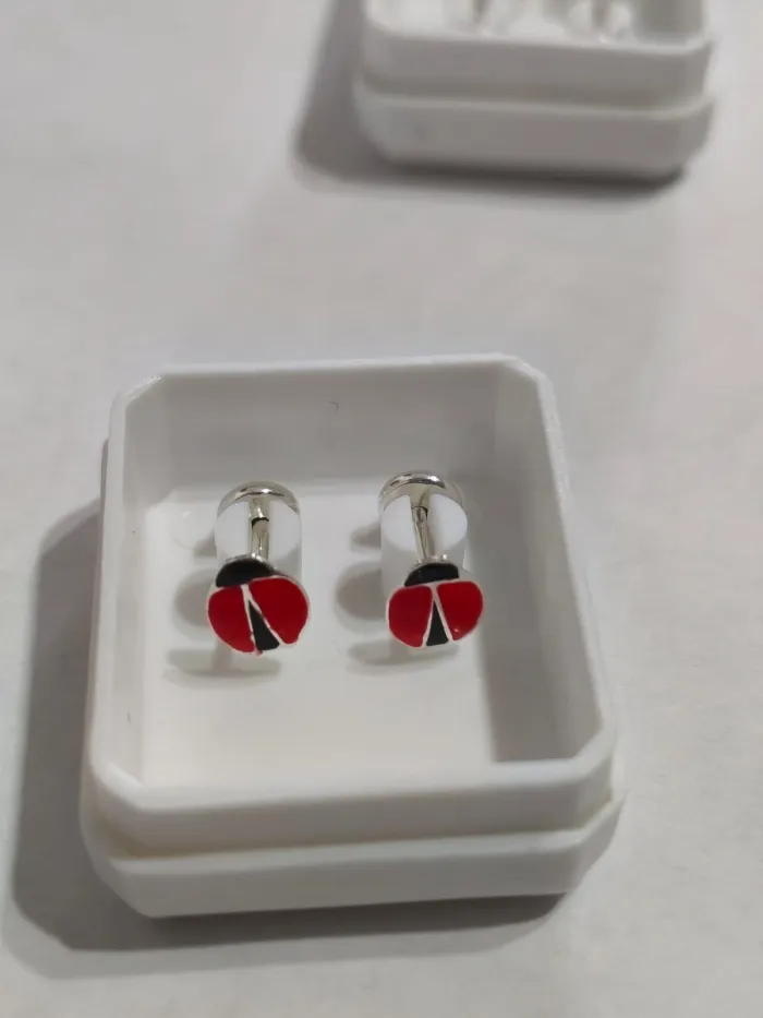 Aros de Plata 925
