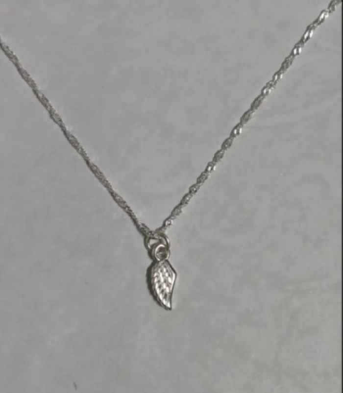 Collar de Plata con Colgante de Ala