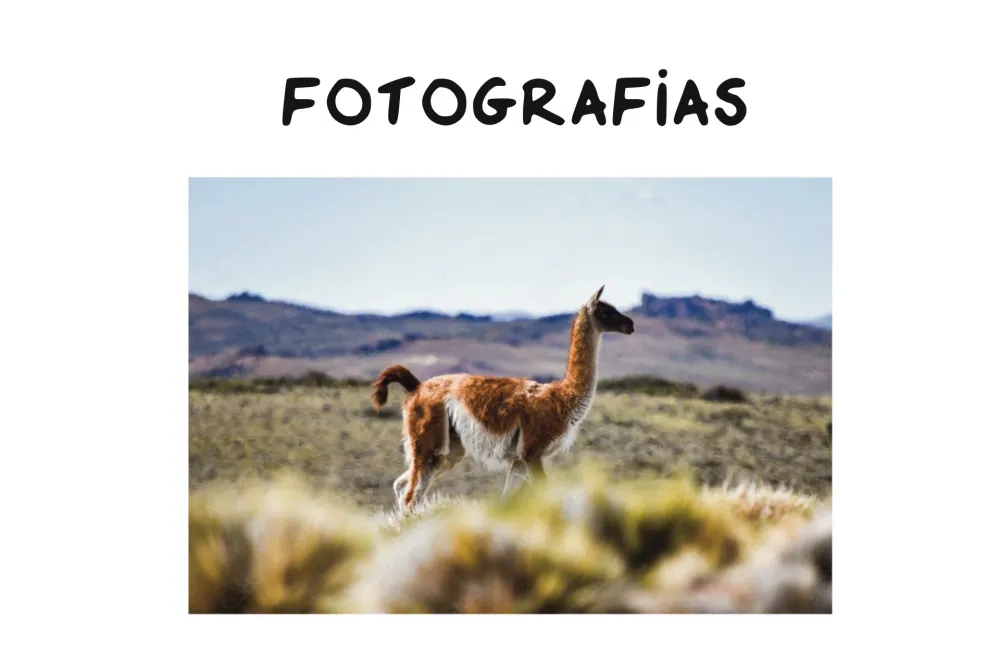 Fotografías
