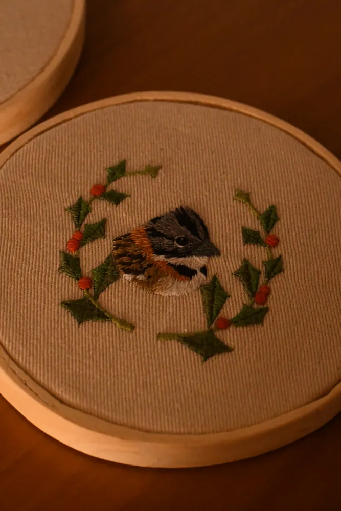 Cuadro "Chingolo y Sombra de toro" 2