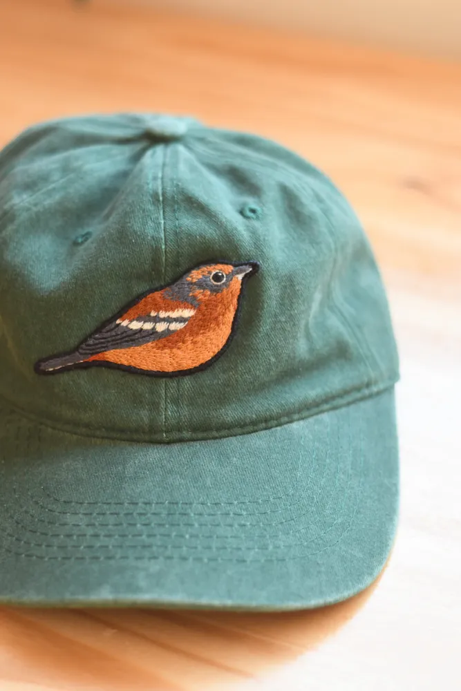 Gorras