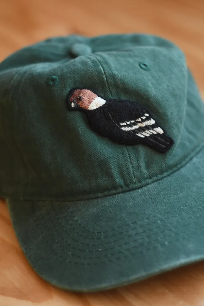 Gorra "Cóndor Andino"