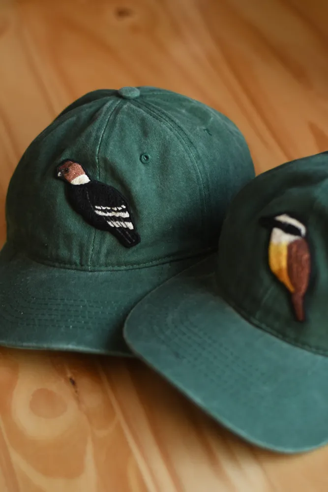 Gorra "Cóndor Andino" 2