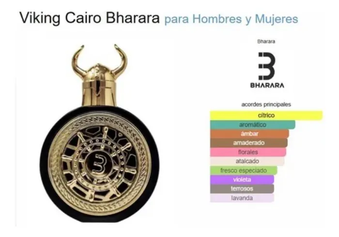 Viking Cairo Parfum 100ML (MAN) 2