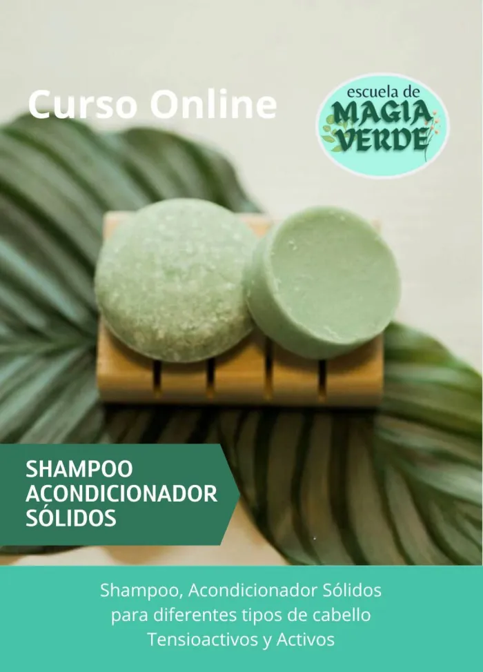 Curso Shampoo y Acondicionador Sólidos 