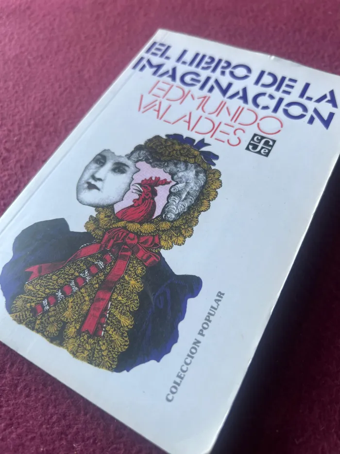 El libro de la imaginación