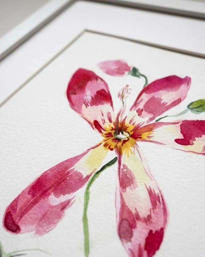 Lámina Botánica: Flor del Palo Borracho 2