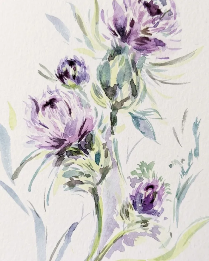 Lámina Botánica: Flor del Cardo 2
