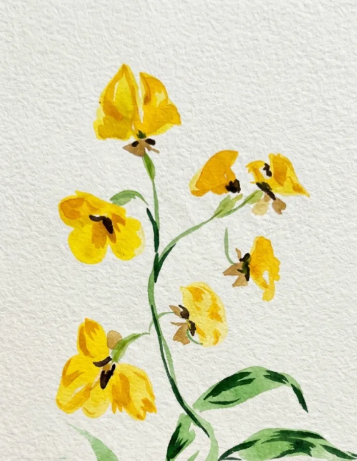 Lámina Botánica: Flor del Patito 2