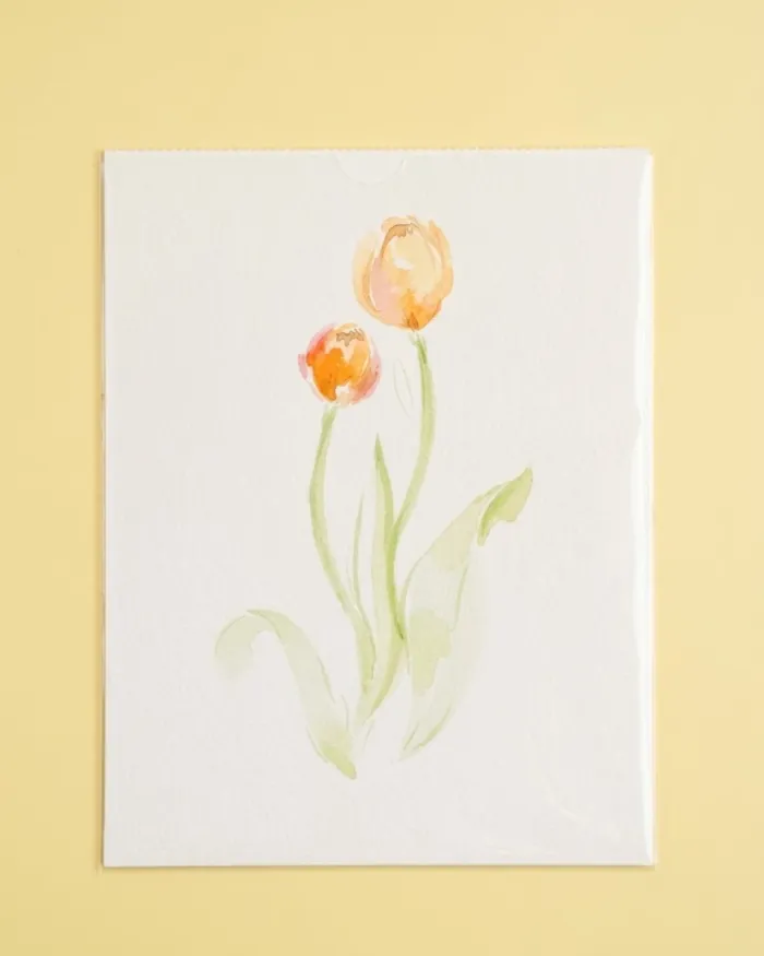 Lámina Botánica: Tulipán