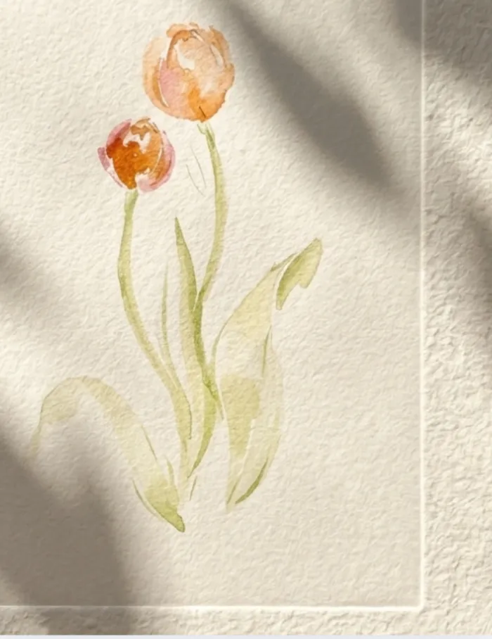 Lámina Botánica: Tulipán 2