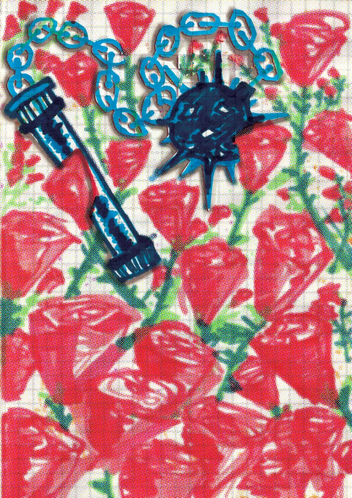 Fanzine "Flora y Acero" 2