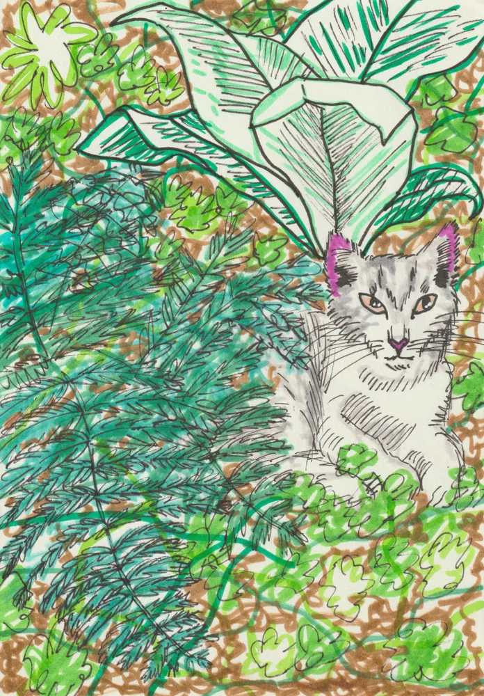 Print "Alba en el jardín"