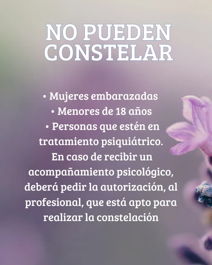 Constelacion INDIVIDUAL presencial 2