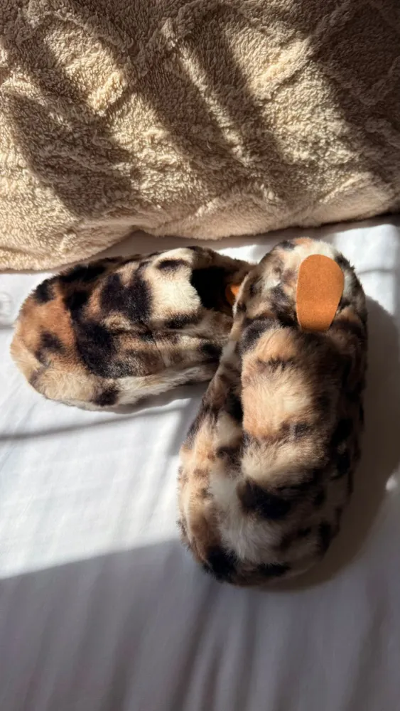 Pantuflas de Peluchito 2