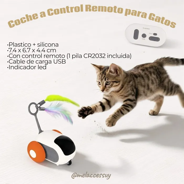 Mascotas