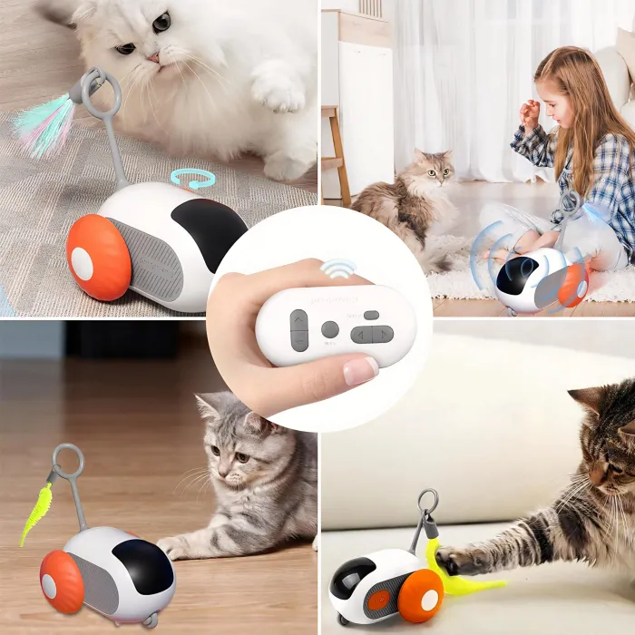 Coche Control Remoto para Gato 2