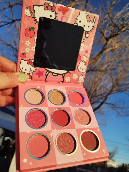 Paletas de Sombras Kitty  2