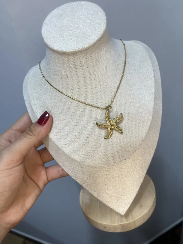 Collar de estrella 