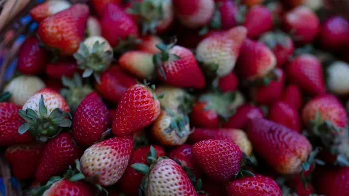 Fresas 