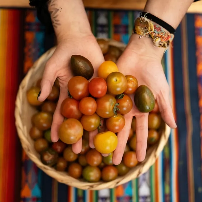 Tomate Cherry De Colores  2