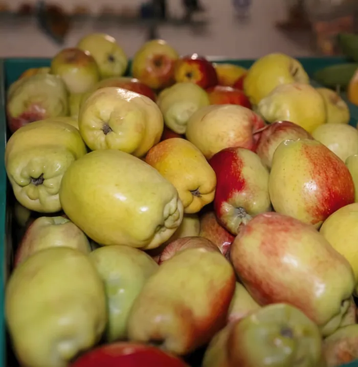 Manzana Nacional 
