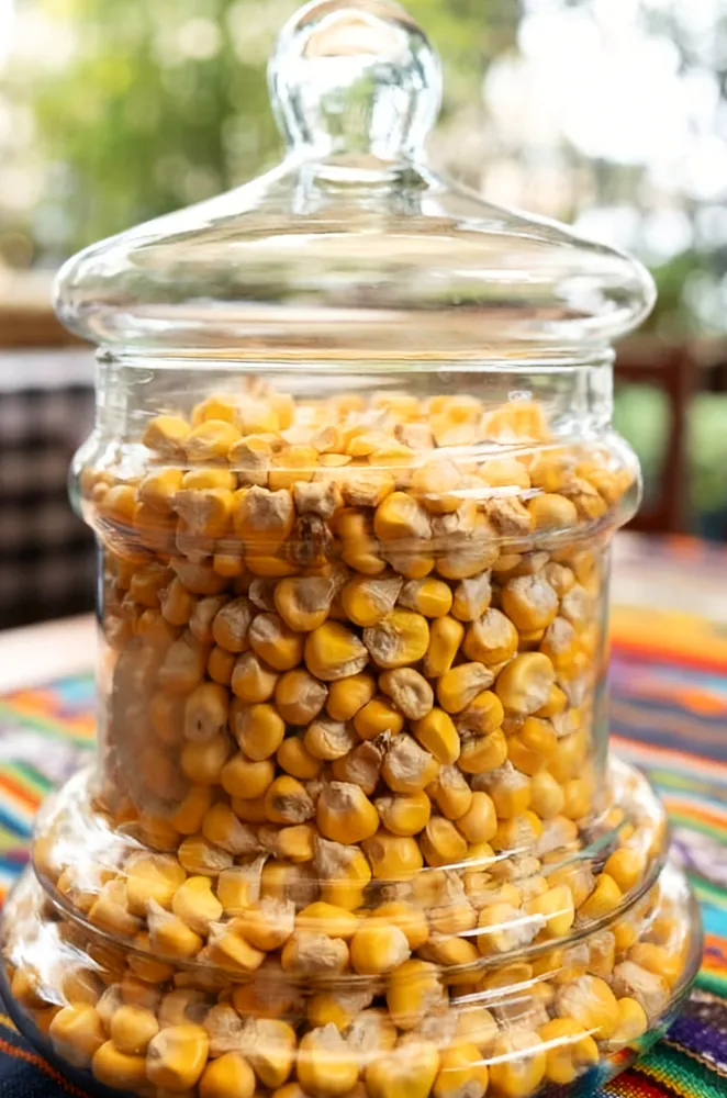 Maiz Porva Amarillo 