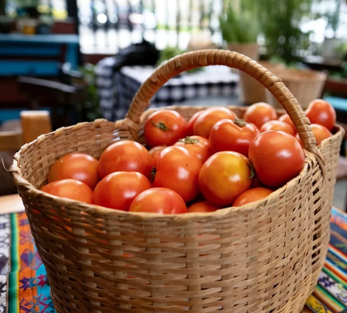 Tomate Redondo y Chonto 