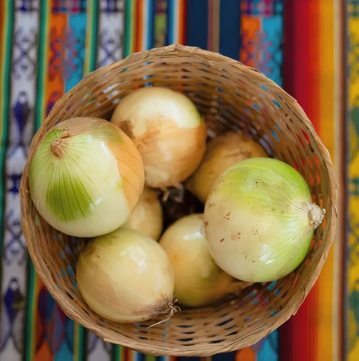 Cebolla Cabezona 