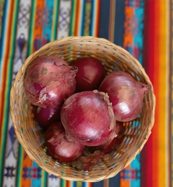 Cebolla Cabezona  2