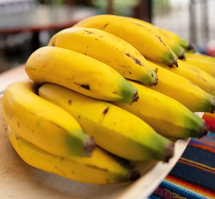 Frutas & Cosecha Dulce