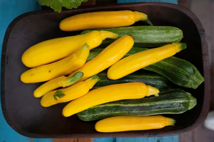 Calabacín Verde y Amarillo