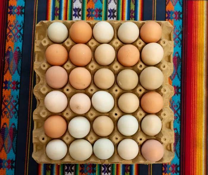 Huevos Campesinos & Panadería